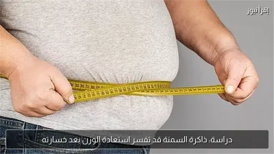 دراسة: ذاكرة السمنة قد تفسر استعادة الوزن بعد خسارته