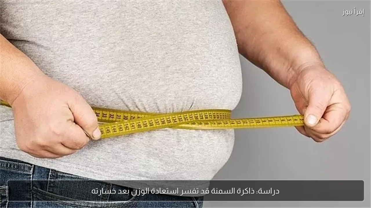دراسة: ذاكرة السمنة قد تفسر استعادة الوزن بعد خسارته