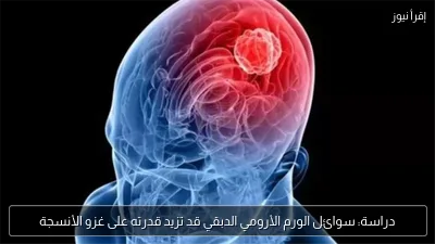 دراسة: سوائل الورم الأرومي الدبقي قد تزيد قدرته على غزو الأنسجة
