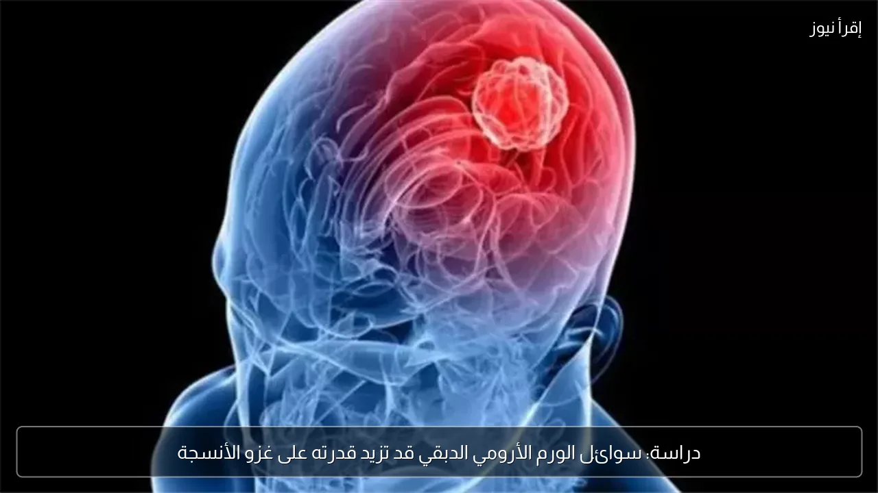 دراسة: سوائل الورم الأرومي الدبقي قد تزيد قدرته على غزو الأنسجة