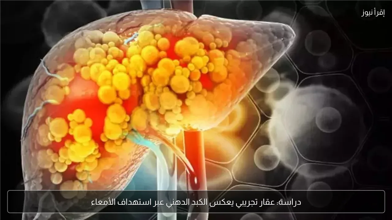دراسة: عقار تجريبي يعكس الكبد الدهني عبر استهداف الأمعاء