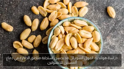 دراسة هولندية: الفول السوداني قد يحسن استجابة مناطق الذاكرة في دماغ المسنين للأنسولين