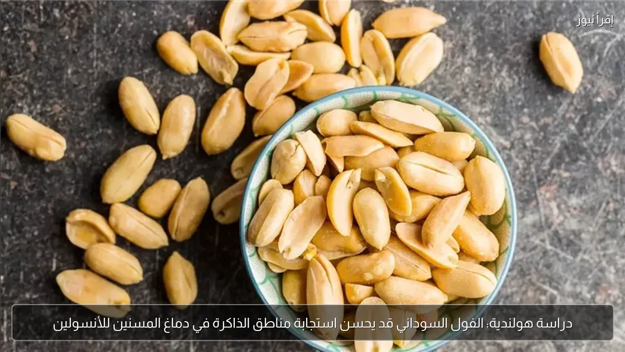 دراسة هولندية: الفول السوداني قد يحسن استجابة مناطق الذاكرة في دماغ المسنين للأنسولين