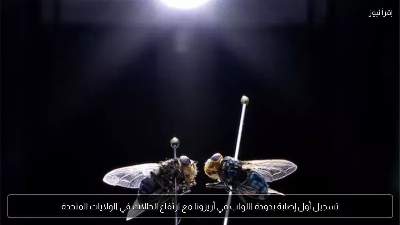 تسجيل أول إصابة بدودة اللولب في أريزونا مع ارتفاع الحالات في الولايات المتحدة
