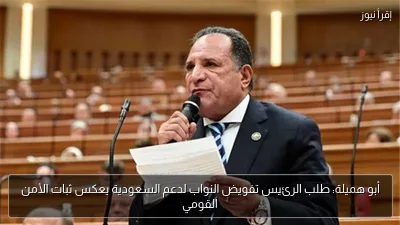 أبو هميلة: طلب الرئيس تفويض النواب لدعم السعودية يعكس ثبات الأمن القومي
