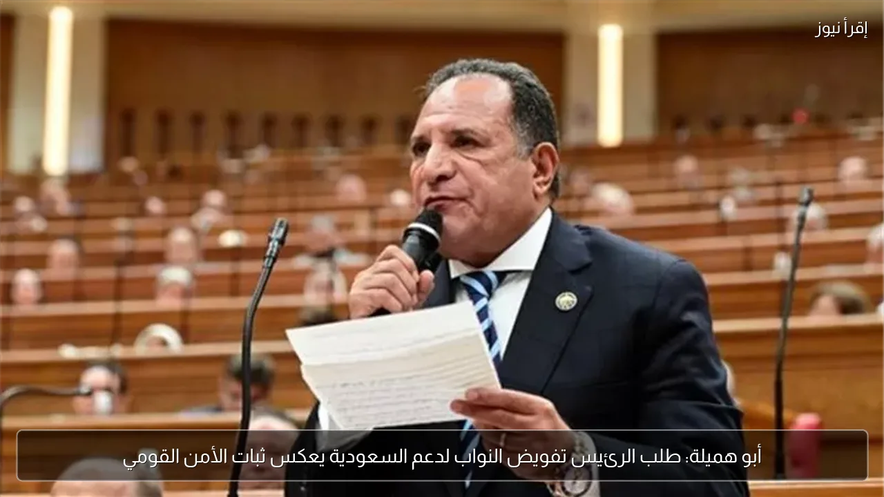 أبو هميلة: طلب الرئيس تفويض النواب لدعم السعودية يعكس ثبات الأمن القومي