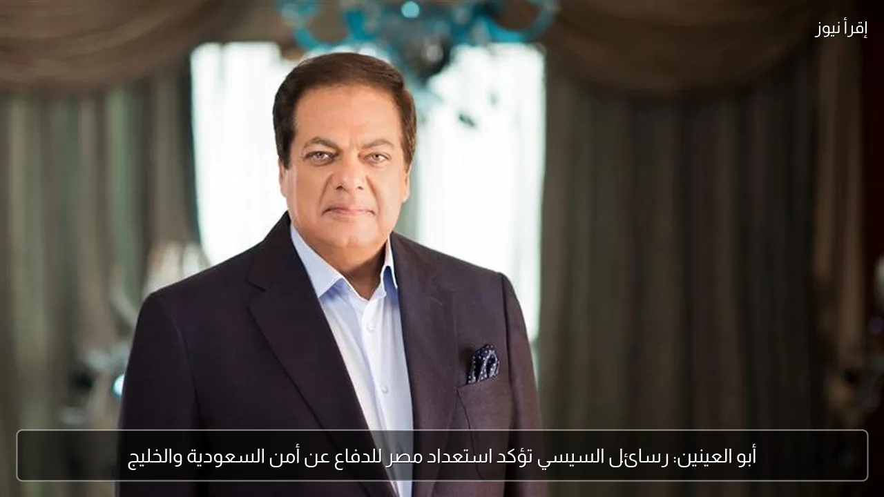 أبو العينين: رسائل السيسي تؤكد استعداد مصر للدفاع عن أمن السعودية والخليج