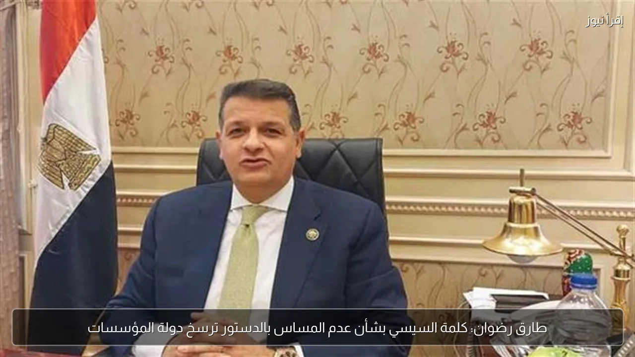 طارق رضوان: كلمة السيسي بشأن عدم المساس بالدستور ترسخ دولة المؤسسات
