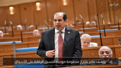يوسف عامر يقترح منظومة موحدة لتنسيق الرقابة على الأسواق