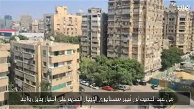 مي عبد الحميد: لن نُجبر مستأجري الإيجار القديم على اختيار بديل واحد