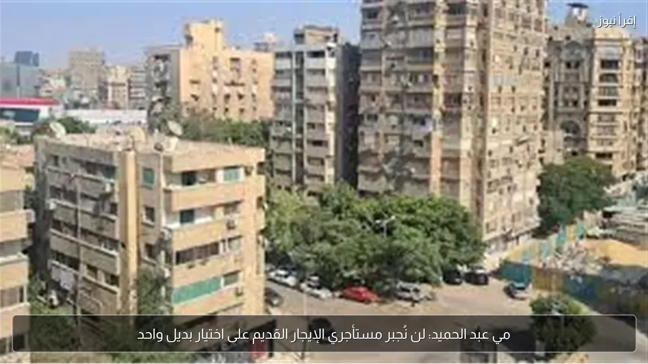 مي عبد الحميد: لن نُجبر مستأجري الإيجار القديم على اختيار بديل واحد