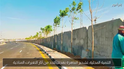 التنمية المحلية: تشجير القاهرة يهدف للحد من آثار التغيرات المناخية