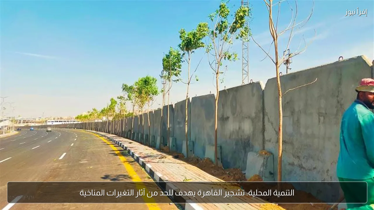 التنمية المحلية: تشجير القاهرة يهدف للحد من آثار التغيرات المناخية