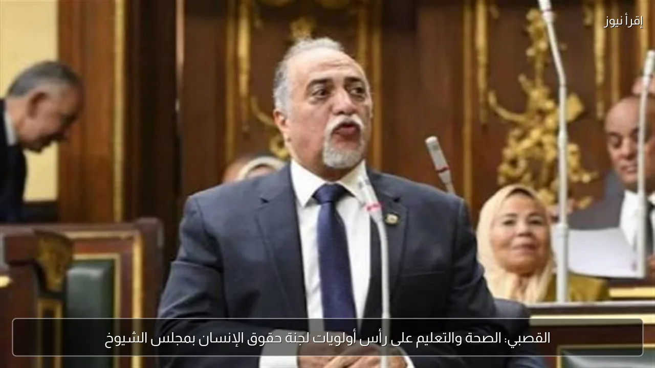 القصبي: الصحة والتعليم على رأس أولويات لجنة حقوق الإنسان بمجلس الشيوخ