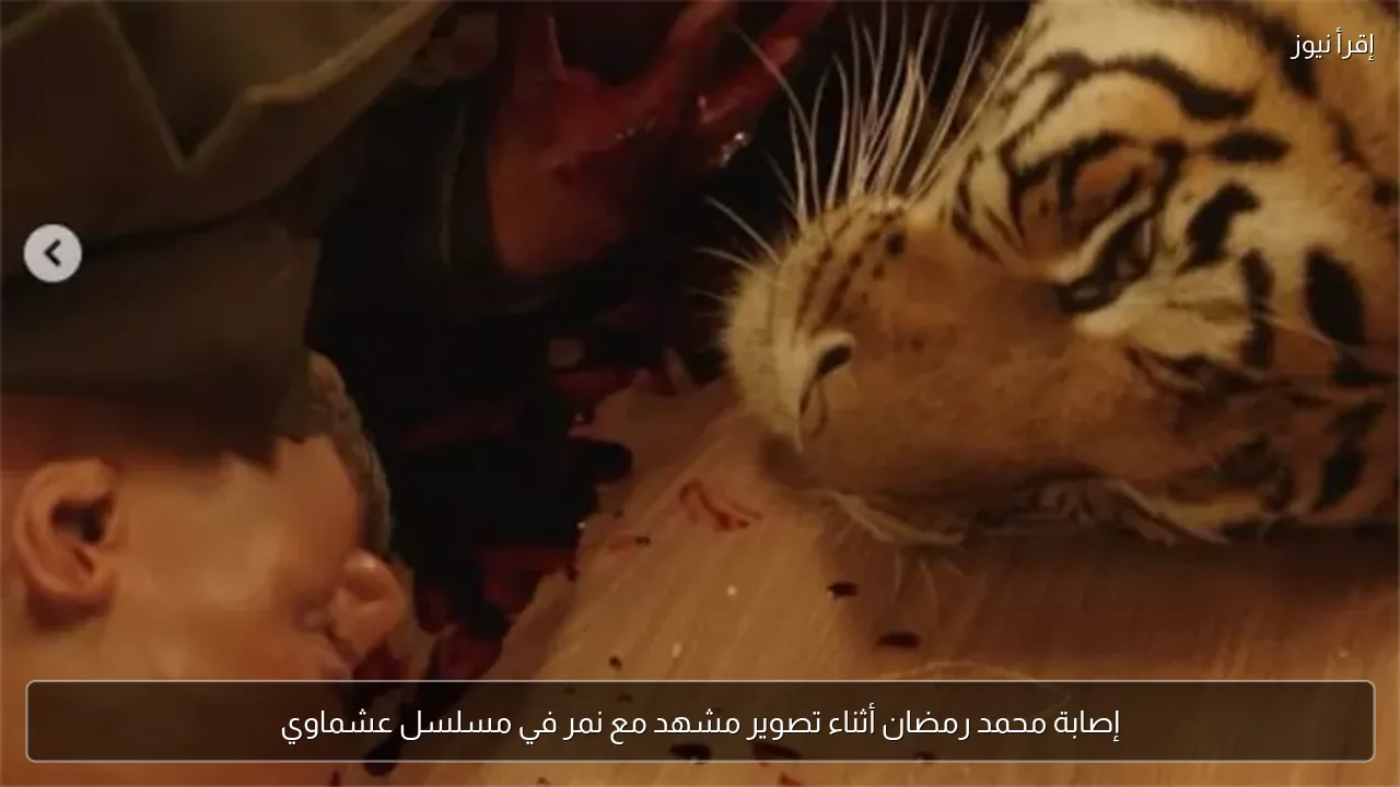 إصابة محمد رمضان أثناء تصوير مشهد مع نمر في مسلسل عشماوي