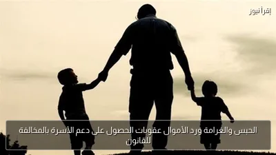 الحبس والغرامة ورد الأموال عقوبات الحصول على دعم الأسرة بالمخالفة للقانون
