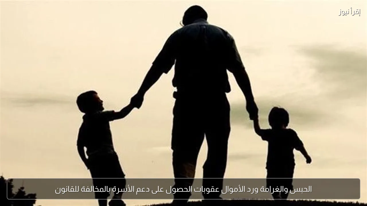 الحبس والغرامة ورد الأموال عقوبات الحصول على دعم الأسرة بالمخالفة للقانون