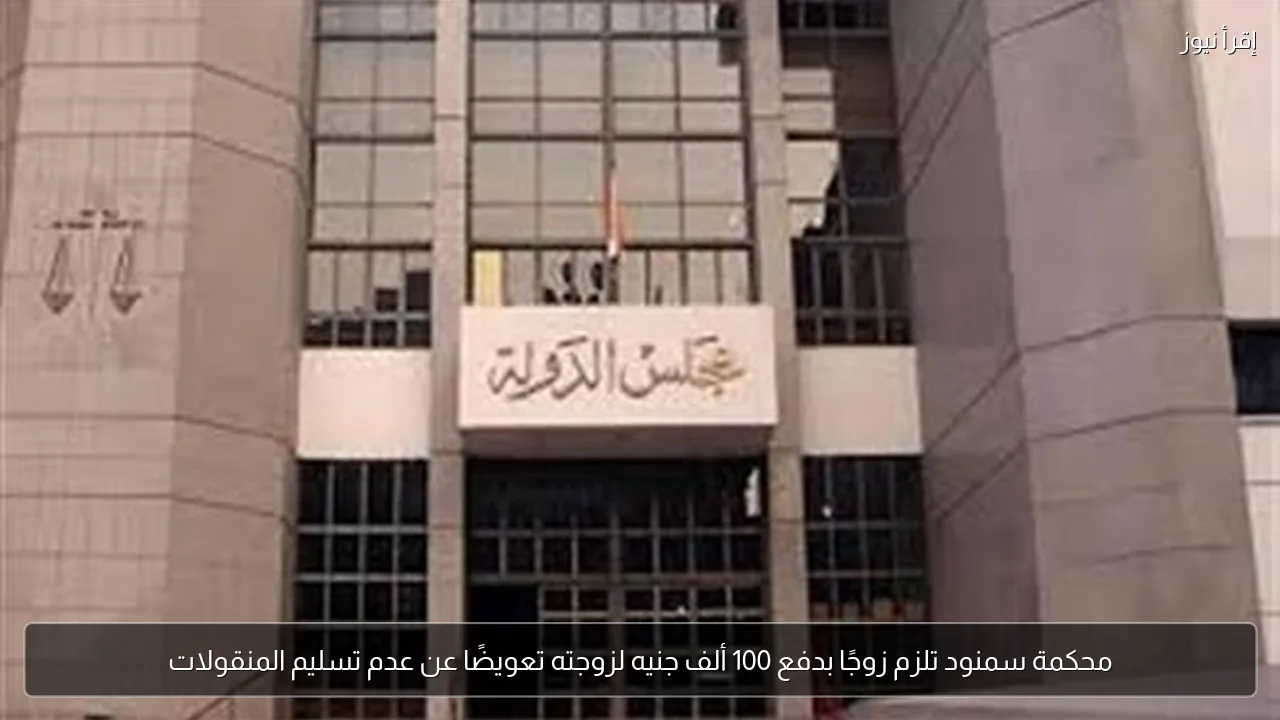محكمة سمنود تلزم زوجًا بدفع 100 ألف جنيه لزوجته تعويضًا عن عدم تسليم المنقولات