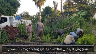 بسيون في الغربية: زراعة 110 أشجار مثمرة وزينة ضمن حملات التشجير