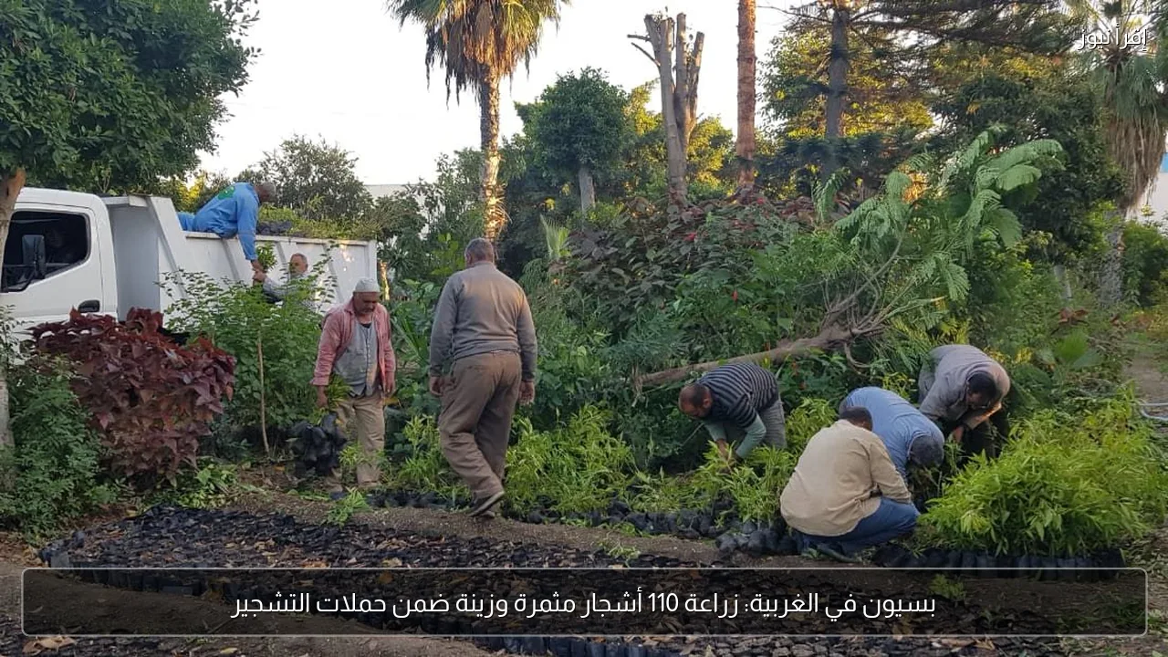 بسيون في الغربية: زراعة 110 أشجار مثمرة وزينة ضمن حملات التشجير