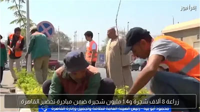 زراعة 8 آلاف شجرة و1.4 مليون شجيرة ضمن مبادرة تخضير القاهرة