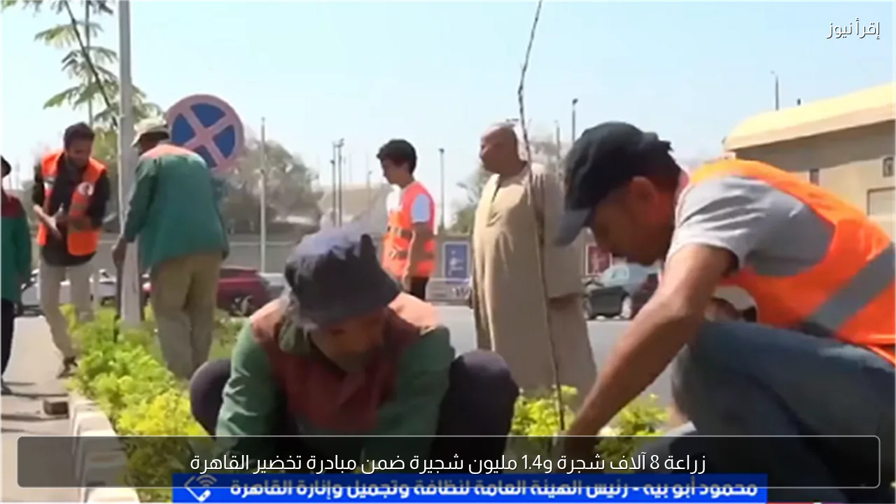 زراعة 8 آلاف شجرة و1.4 مليون شجيرة ضمن مبادرة تخضير القاهرة
