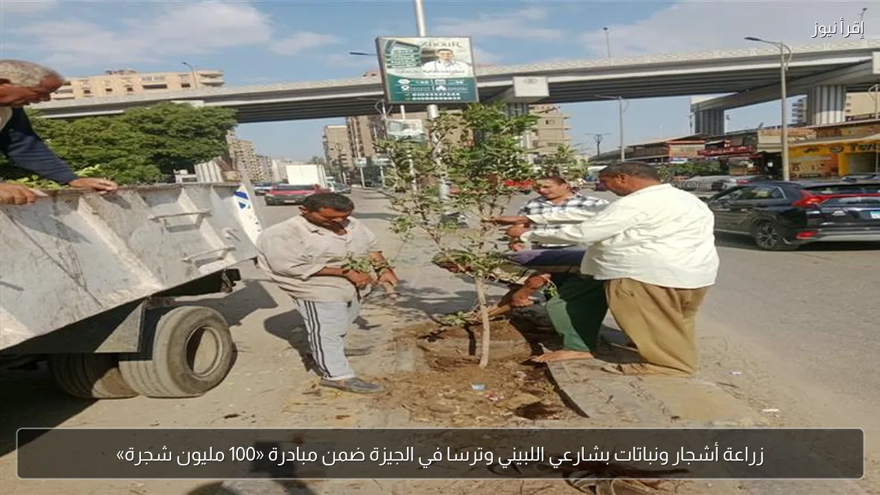 زراعة أشجار ونباتات بشارعي اللبيني وترسا في الجيزة ضمن مبادرة «100 مليون شجرة»