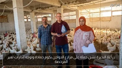 زراعة البحيرة تشن حملة على مزارع الدواجن بكوم حمادة وتوجه إنذارات لغير المرخصة