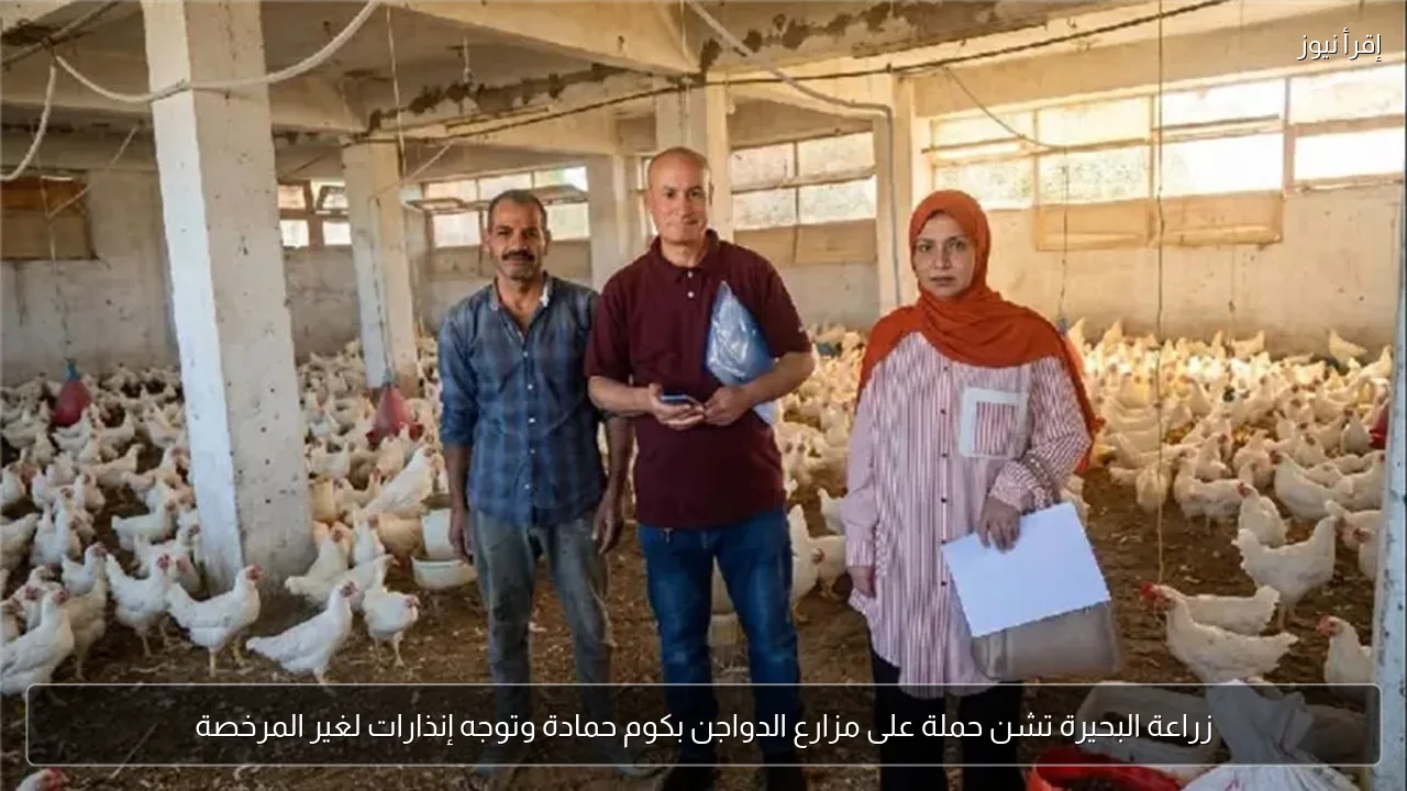 زراعة البحيرة تشن حملة على مزارع الدواجن بكوم حمادة وتوجه إنذارات لغير المرخصة