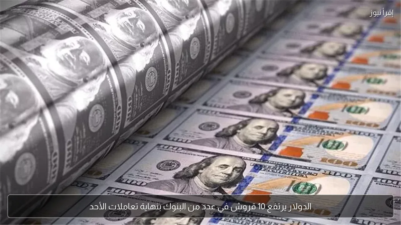 الدولار يرتفع 10 قروش في عدد من البنوك بنهاية تعاملات الأحد