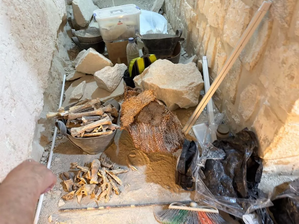 صور المقتنيات الظاهرة خلال الزيارة