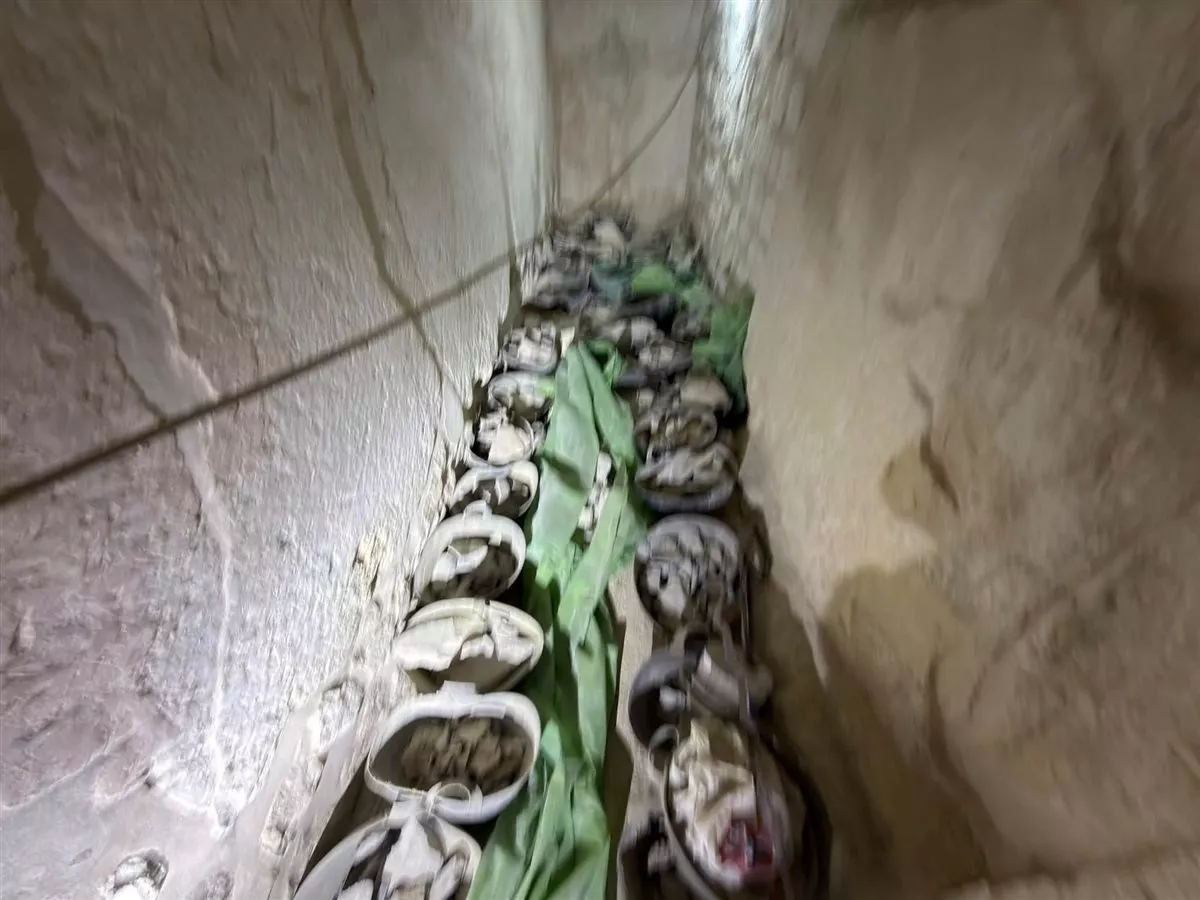 صور المقتنيات الظاهرة خلال الزيارة
