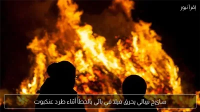 سائح نيبالي يحرق فيلا في بالي بالخطأ أثناء طرد عنكبوت