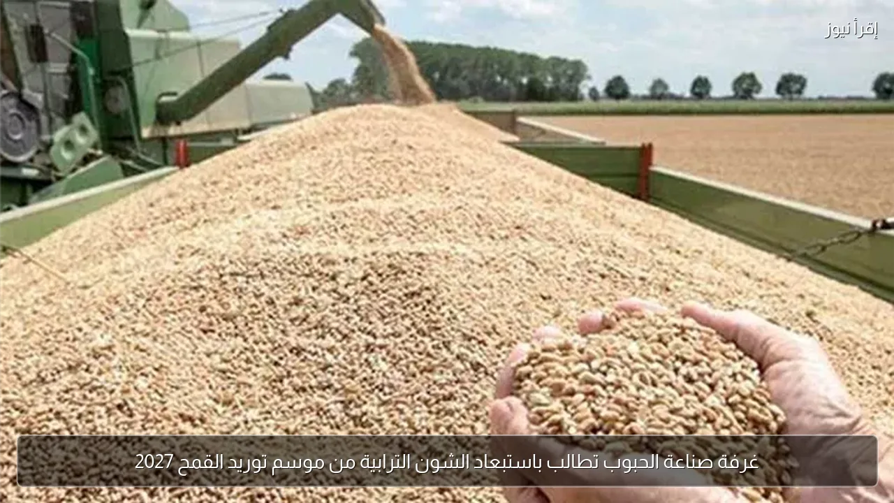 غرفة صناعة الحبوب تطالب باستبعاد الشون الترابية من موسم توريد القمح 2027