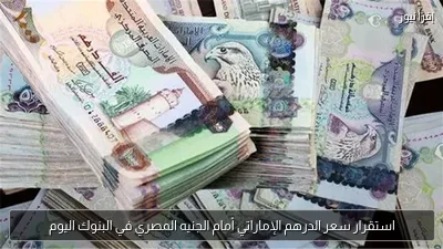استقرار سعر الدرهم الإماراتي أمام الجنيه المصري في البنوك اليوم