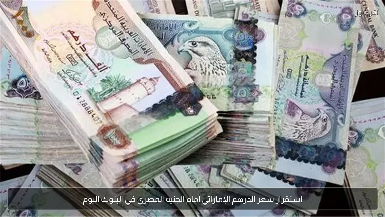استقرار سعر الدرهم الإماراتي أمام الجنيه المصري في البنوك اليوم