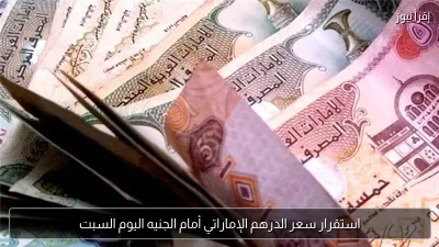 استقرار سعر الدرهم الإماراتي أمام الجنيه اليوم السبت