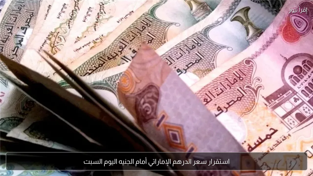 استقرار سعر الدرهم الإماراتي أمام الجنيه اليوم السبت
