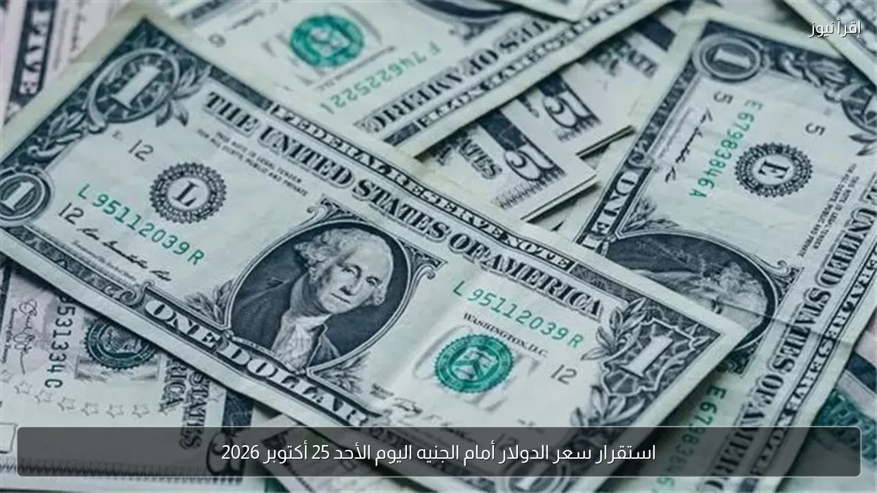 استقرار سعر الدولار أمام الجنيه اليوم الأحد 25 أكتوبر 2026