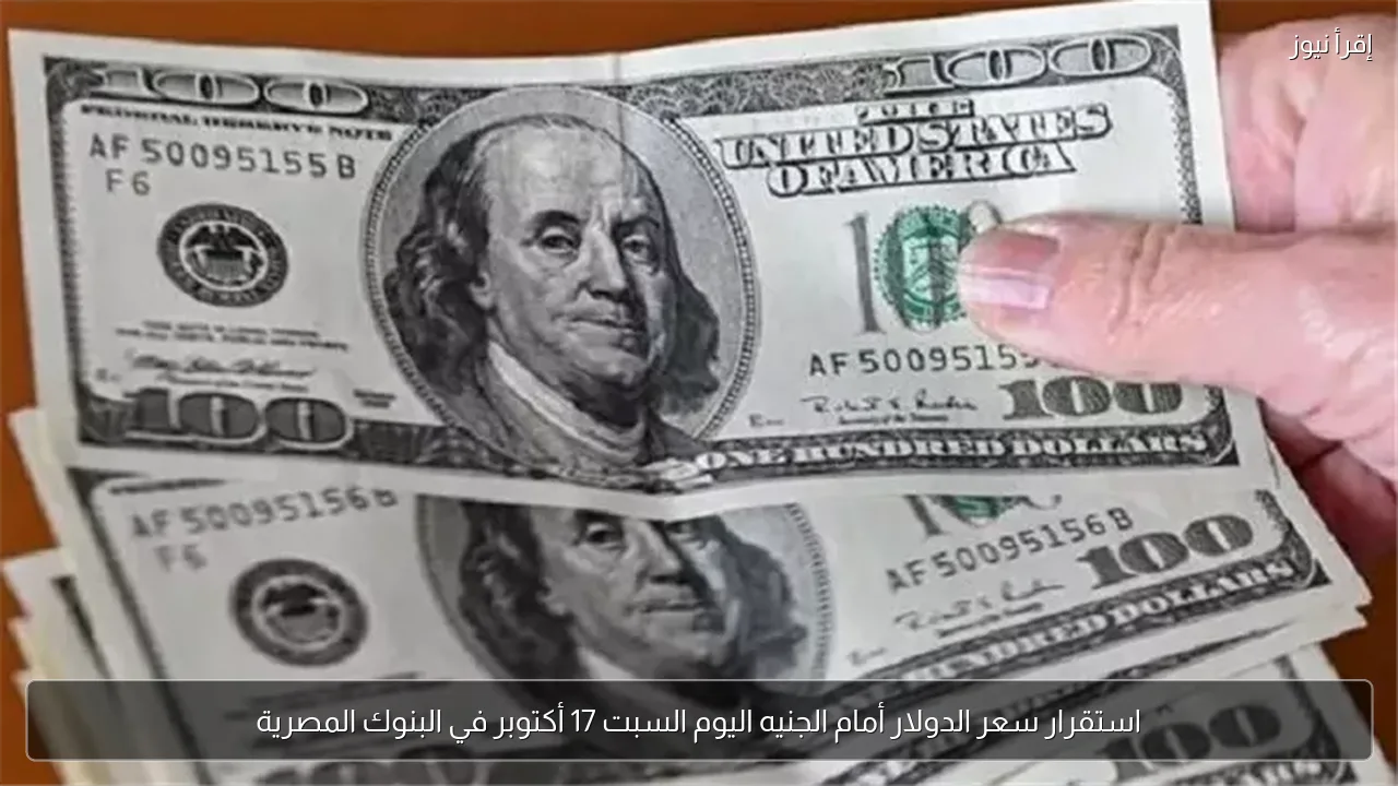 استقرار سعر الدولار أمام الجنيه اليوم السبت 17 أكتوبر في البنوك المصرية