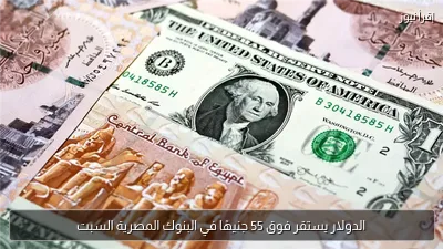 الدولار يستقر فوق 55 جنيهًا في البنوك المصرية السبت