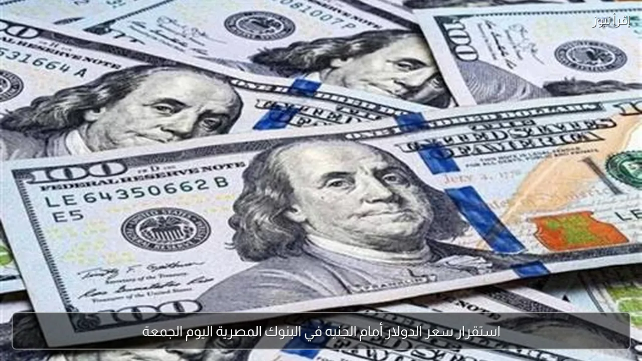 استقرار سعر الدولار أمام الجنيه في البنوك المصرية اليوم الجمعة