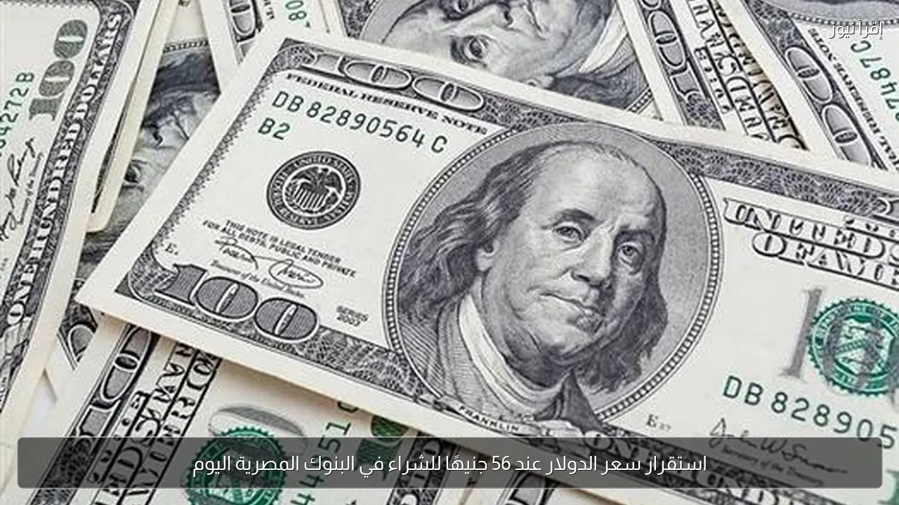 استقرار سعر الدولار عند 56 جنيهًا للشراء في البنوك المصرية اليوم