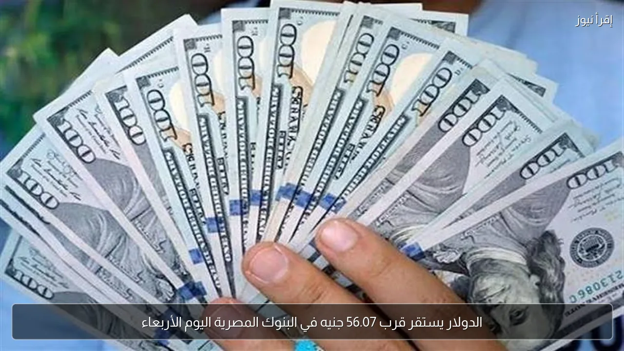 الدولار يستقر قرب 56.07 جنيه في البنوك المصرية اليوم الأربعاء