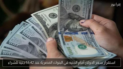 استقرار سعر الدولار أمام الجنيه في البنوك المصرية عند 53.42 جنيه للشراء