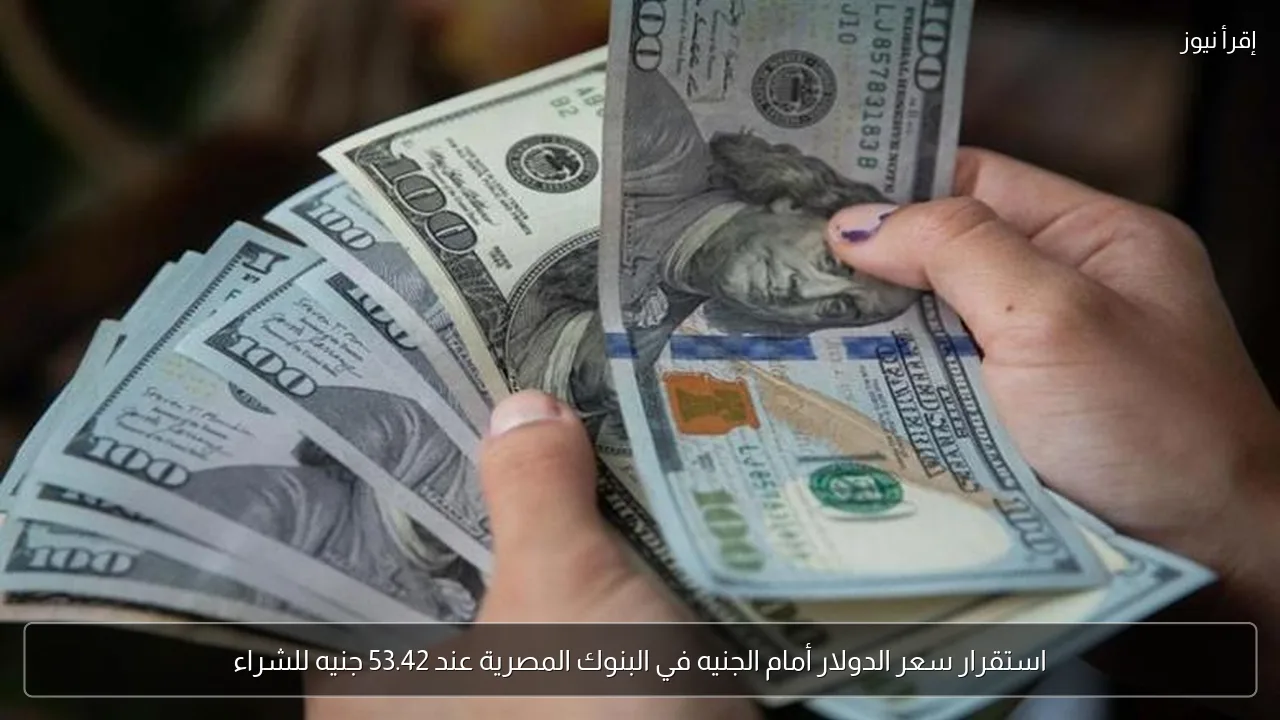استقرار سعر الدولار أمام الجنيه في البنوك المصرية عند 53.42 جنيه للشراء