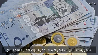 استقرار سعر الريال السعودي أمام الجنيه في البنوك المصرية اليوم الاثنين