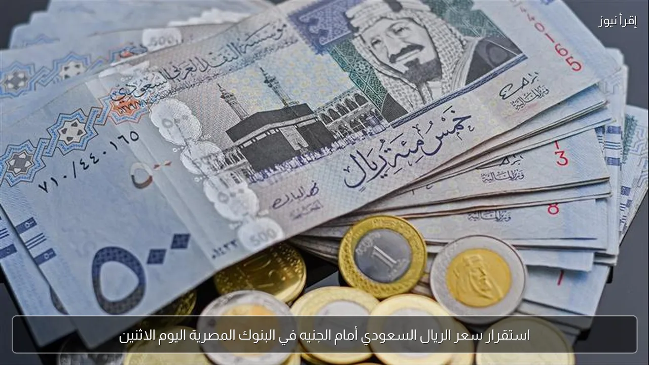 استقرار سعر الريال السعودي أمام الجنيه في البنوك المصرية اليوم الاثنين