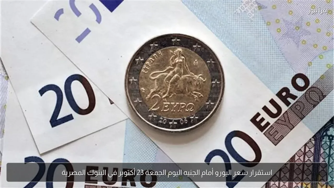 استقرار سعر اليورو أمام الجنيه اليوم الجمعة 23 أكتوبر في البنوك المصرية
