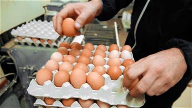 سعر كرتونة البيض في <a href=